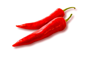 Two hot chilly pepper on the white