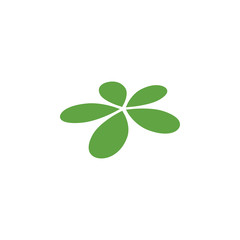 Beautiful plumeria flower graphic design template vector illustration