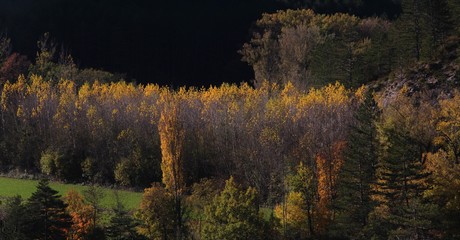 Drôme automanle