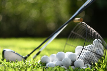 Golf balls in basket and golf clubs on green grass for practice