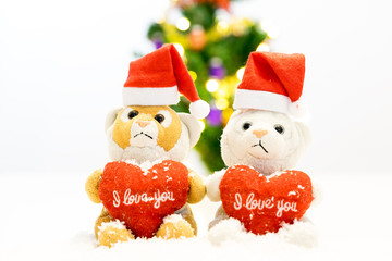 Zwei Teddybären mit Zipfelmütze sitzen auf Schnee und im Hintergrund ist ein Weihnachtsbaum.