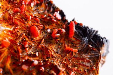 Macro mineral stone Vanadinite on a white background close up