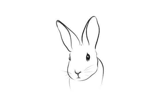 recommend clip art: beautiful rabbit illustration