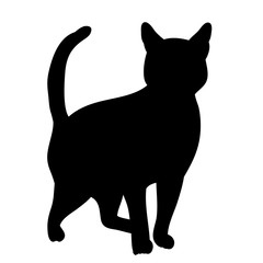  isolated silhouette of a cat, is going