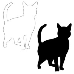 silhouette cat standing