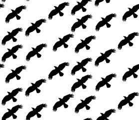 seamless background with silhouette of flying birds on a white background