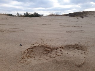 footprint in the sand