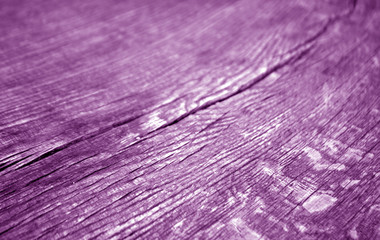 Old log cut macro in purple tone.