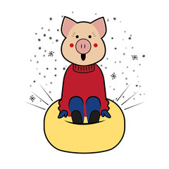 Pig rides symbol 2019 from the mountain