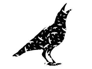 vector, isolated silhouette of a bird, crow, icon