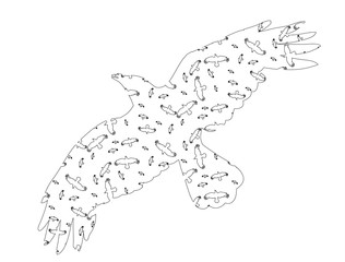 vector, isolated silhouette of a bird, crow, sketch