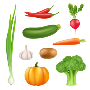 Vegetables realistic pictures. Healthy fresh food pumpkin broccoli cucumber pepper carrot vector 3d illustration. Set of vegetable carrot and pepper, nutrient radish and ripe harvest potato garlic