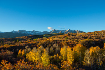Autumn in Colorado
