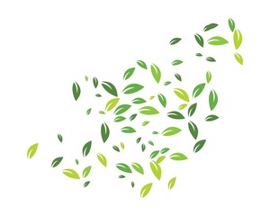 green leaf ecology nature element