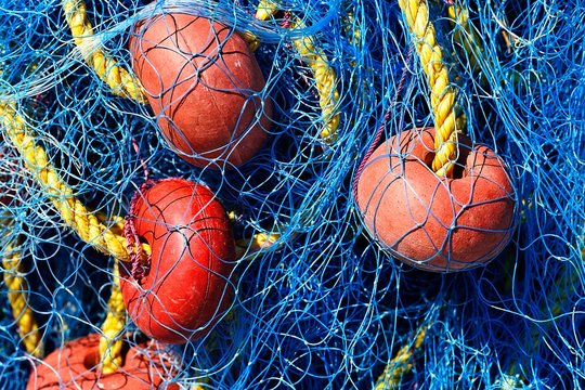 Blue fishing net, detail, old harbour, Elounda, Crete, Greece, Europe