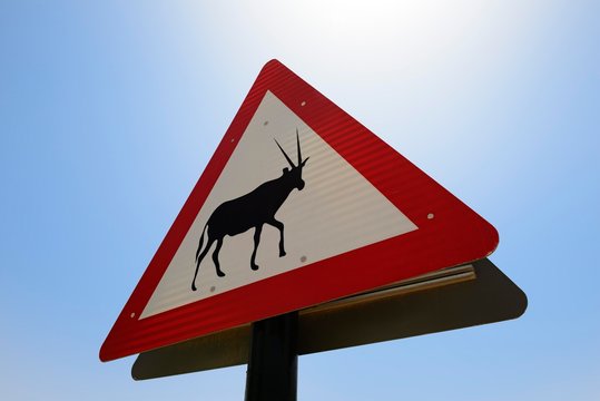 Attention Oryxe Shield, Ras al Khaimah, United Arab Emirates, Asia