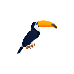 Toucan in flat design. Vector. Tropical, exotic bird isolated. American fauna on white background. Zoo animal. Cartoon Illustration.