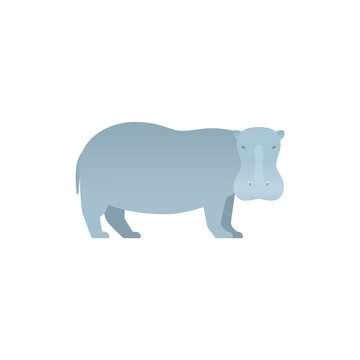 Hippopotamus flat design. Vector. Hippo zoo wild animal isolated. African fauna on white background. Cartoon Illustration.