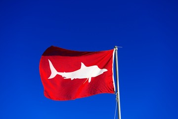 Red Flag signals high white shark danger, Muizenberg, Cape Town, Western Cape, South Africa, Africa