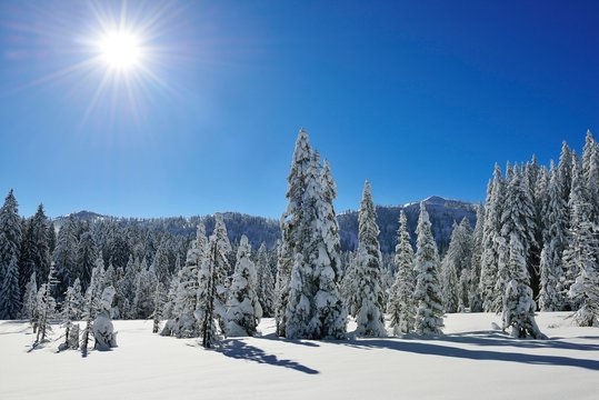 Winter landscape on the Hemmersuppenalm, Reit im Winkl, Chiemgau, Bavaria, Germany, Europe