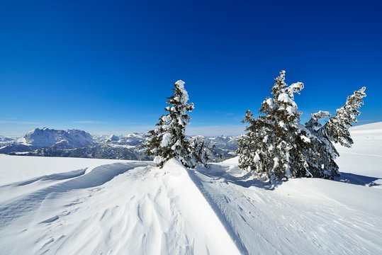 Snow drift on the Fellhorn, Reit im Winkl, Bavaria, Upper Bavaria, Germany, Europe