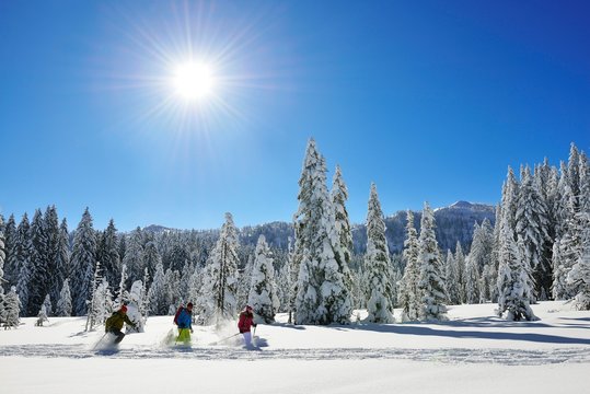 Snowshoe tour to the Fellhorn, Reit im Winkl, Bavaria, Germany, Europe