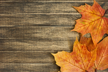 Naklejka na ściany i meble Beautiful colorful autumn leaves on wooden background 