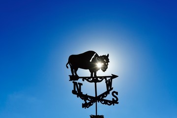 Weather vane with bison made of wrought iron turns in the wind, Utah, USA, North America