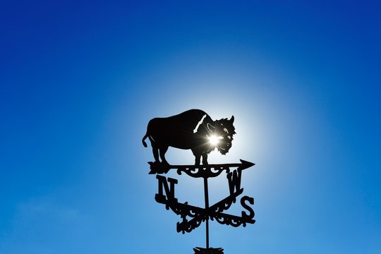 Weather vane with bison made of wrought iron turns in the wind, Utah, USA, North America