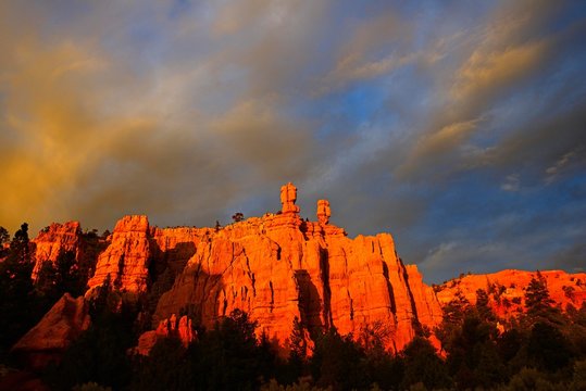 Rocks glow in the evening light, Red Canyon, Dixie Forest, Utah, USA, North America
