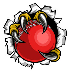 Eagle, bird or monster claw or talons holding a cricket ball and tearing through the background. Sports graphic.