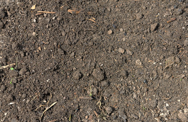 Earthy brown texture