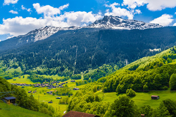 Fototapeta premium Forest in Alps mountains, Klosters-Serneus, Davos, Graubuenden,