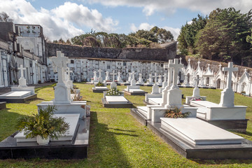 Cemetery of Luarca village in Asturias, Spain