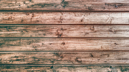 Naklejka premium Wood background or wooden texture