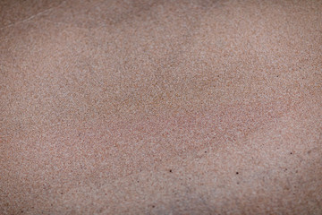 sand texture. beach