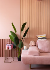 Cozy living room corner with pink sofa covered with comfprtable pink pillows on decorated wall...