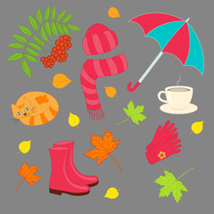 Vector autumn set on gray background