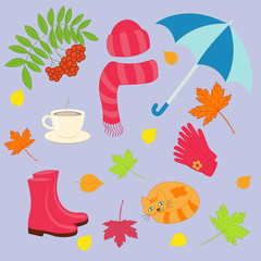 Vector autumn set on purple background