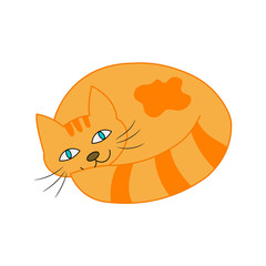 Red cat falls asleep