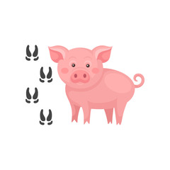 Pink pig and his footprints. Farm animal. Domestic creature. Flat vector element for children s educational flashcard