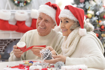 Portrait of senior couple preparing for Christmas