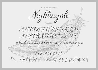 7311729 Nightingale. Handdrawn calligraphic vector font.