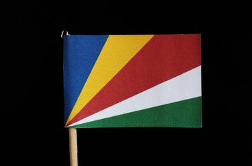 A national flag of Seychelles on toothpick on black background. Consists from five oblique bands of blue, yellow, red, white and green radiating from the bottom of the hoist side