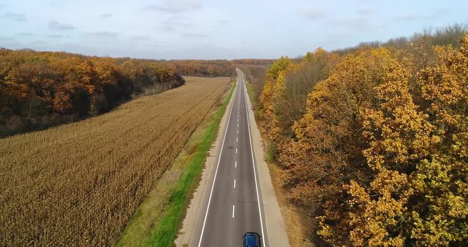 Aerial view of road in autumn forest at sunset. Amazing landscape with rural road, trees with red and orange leaves in a day near the corn field.
