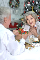 Portrait of a happy couple celebrating Christmas