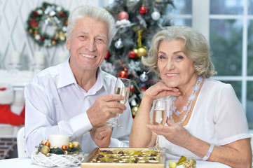 Portrait of couple celebrating Christmas with champagne