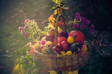 basket full fruit autumn garden mystical light