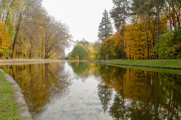 Fototapeta na wymiar autumn park landscape design