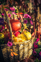 Season garden basket fruit gifts autumn
